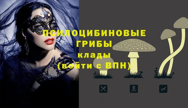 мдпв Новозыбков