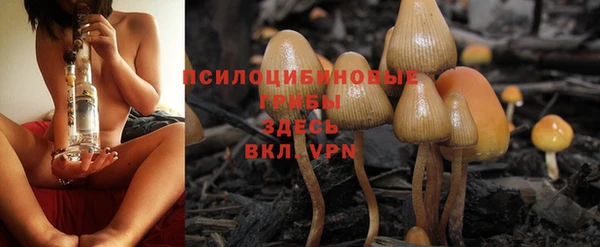 мдпв Новозыбков