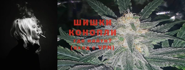 ALPHA PVP Новодвинск
